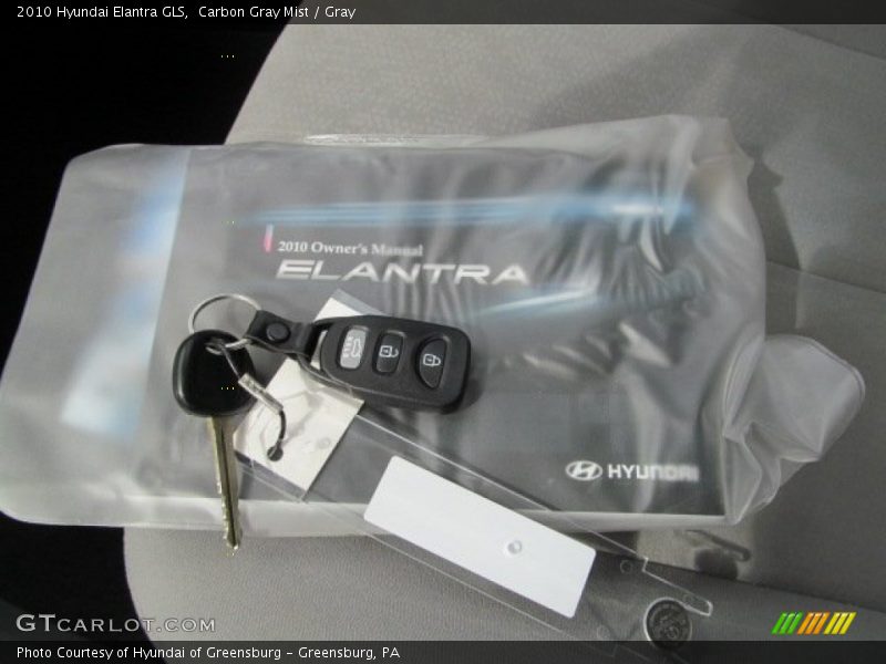 Carbon Gray Mist / Gray 2010 Hyundai Elantra GLS
