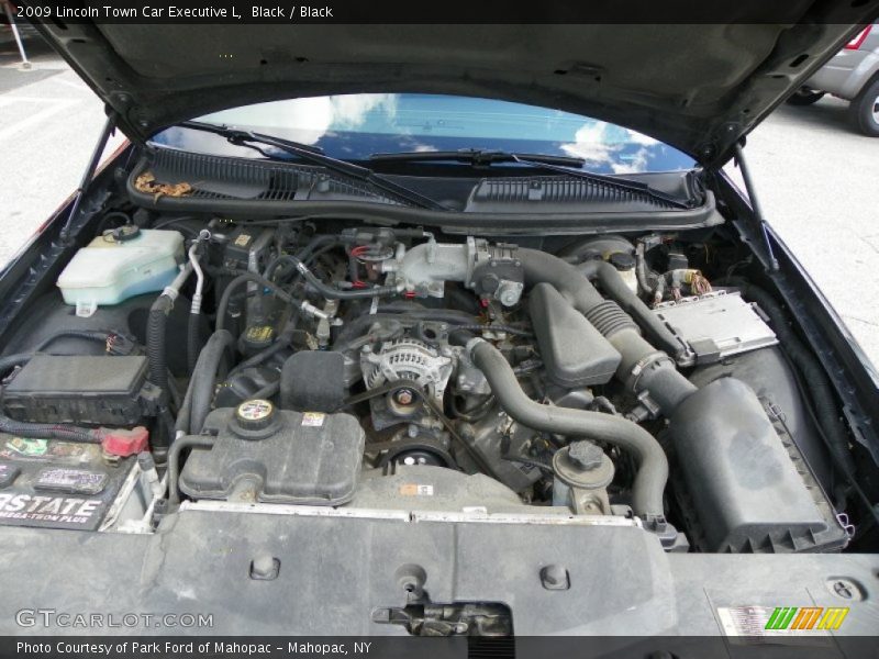  2009 Town Car Executive L Engine - 4.6 Liter SOHC 16-Valve FFV V8