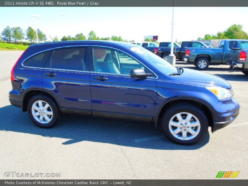 Royal Blue Pearl / Gray 2011 Honda CR-V SE 4WD