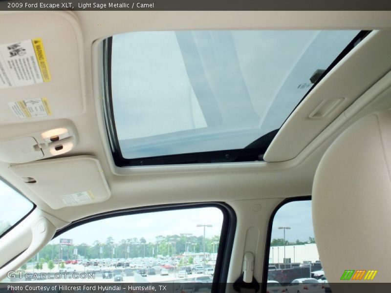 Light Sage Metallic / Camel 2009 Ford Escape XLT