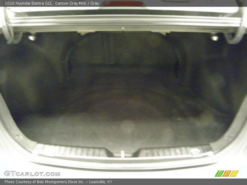 Carbon Gray Mist / Gray 2010 Hyundai Elantra GLS