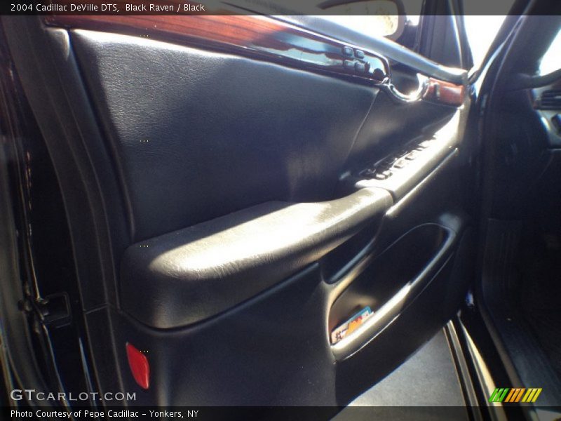 Black Raven / Black 2004 Cadillac DeVille DTS