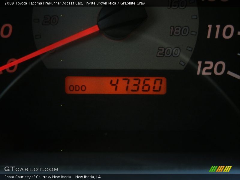 Pyrite Brown Mica / Graphite Gray 2009 Toyota Tacoma PreRunner Access Cab
