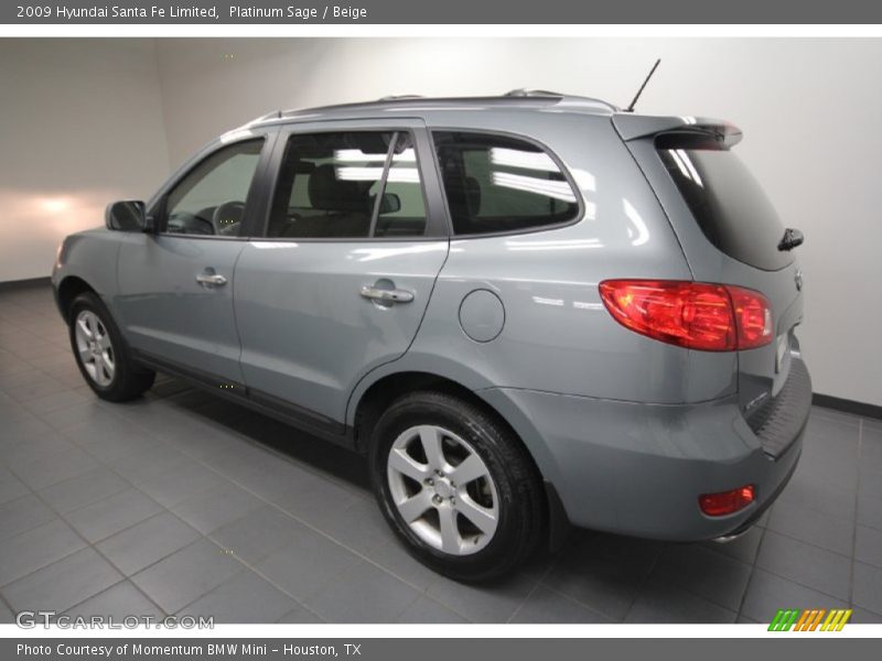 Platinum Sage / Beige 2009 Hyundai Santa Fe Limited