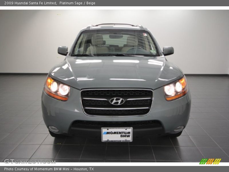 Platinum Sage / Beige 2009 Hyundai Santa Fe Limited