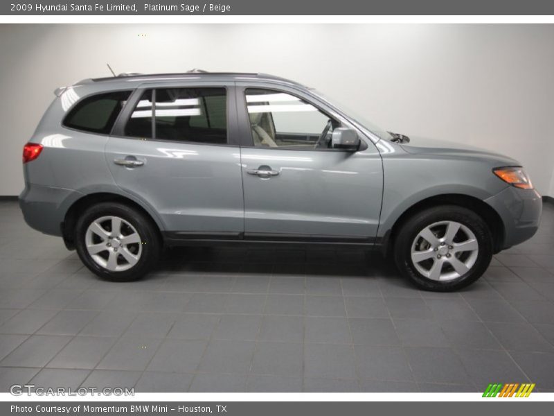 Platinum Sage / Beige 2009 Hyundai Santa Fe Limited