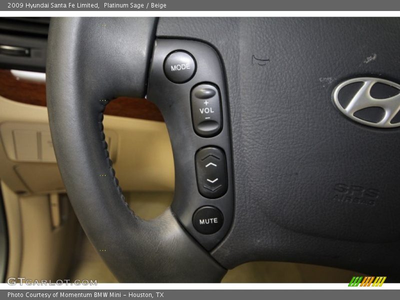 Platinum Sage / Beige 2009 Hyundai Santa Fe Limited