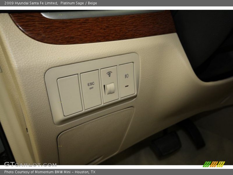 Platinum Sage / Beige 2009 Hyundai Santa Fe Limited
