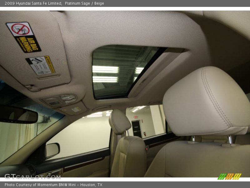 Platinum Sage / Beige 2009 Hyundai Santa Fe Limited