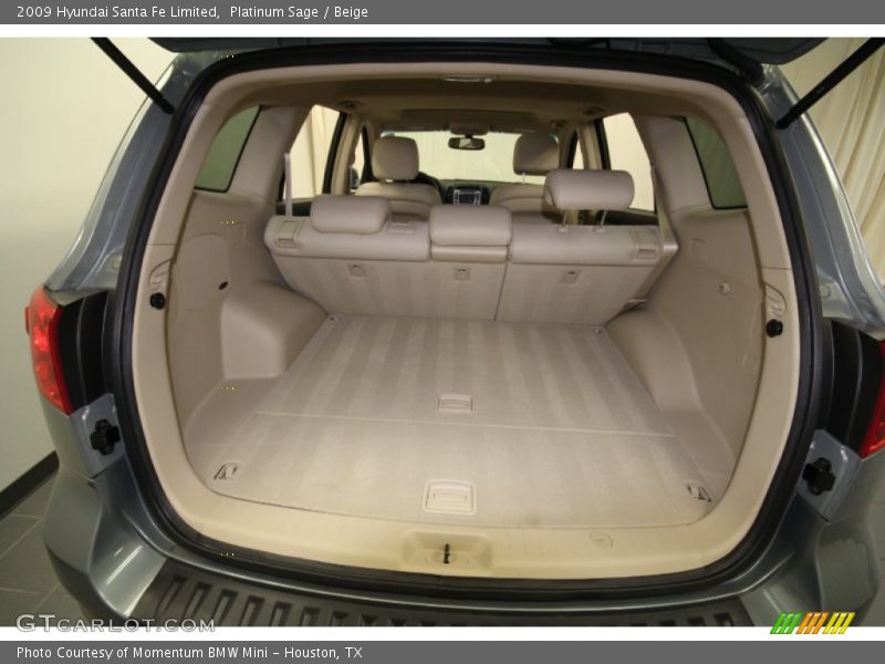 Platinum Sage / Beige 2009 Hyundai Santa Fe Limited