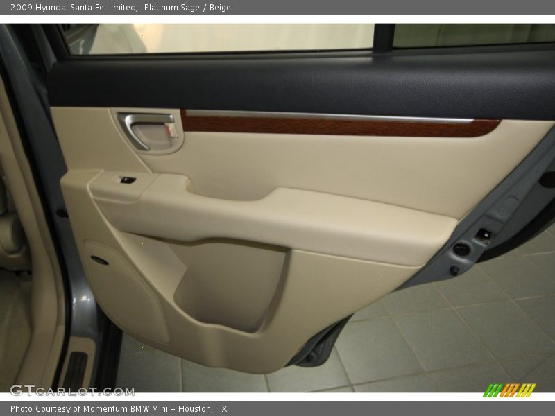 Platinum Sage / Beige 2009 Hyundai Santa Fe Limited