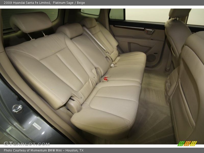 Platinum Sage / Beige 2009 Hyundai Santa Fe Limited