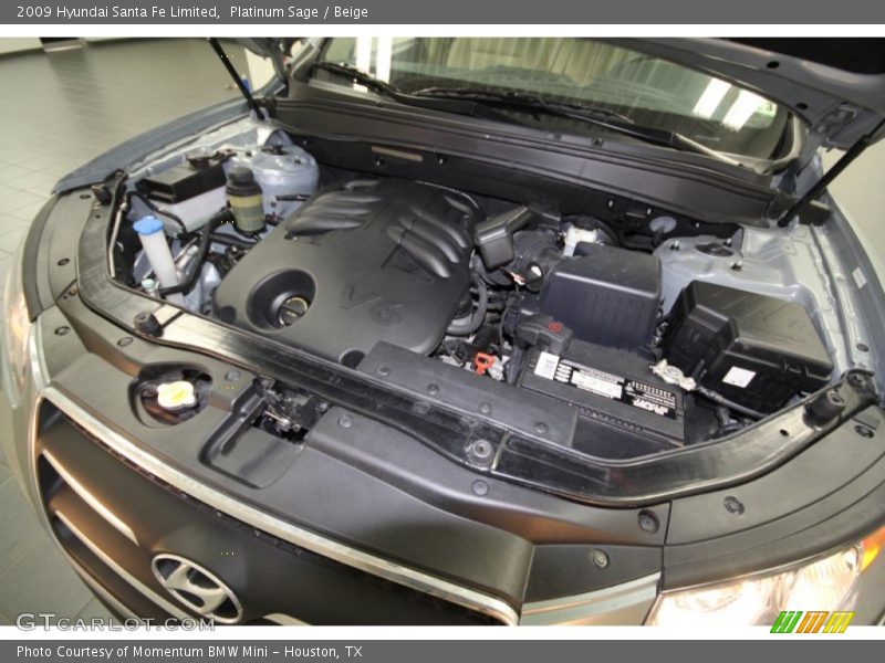 Platinum Sage / Beige 2009 Hyundai Santa Fe Limited