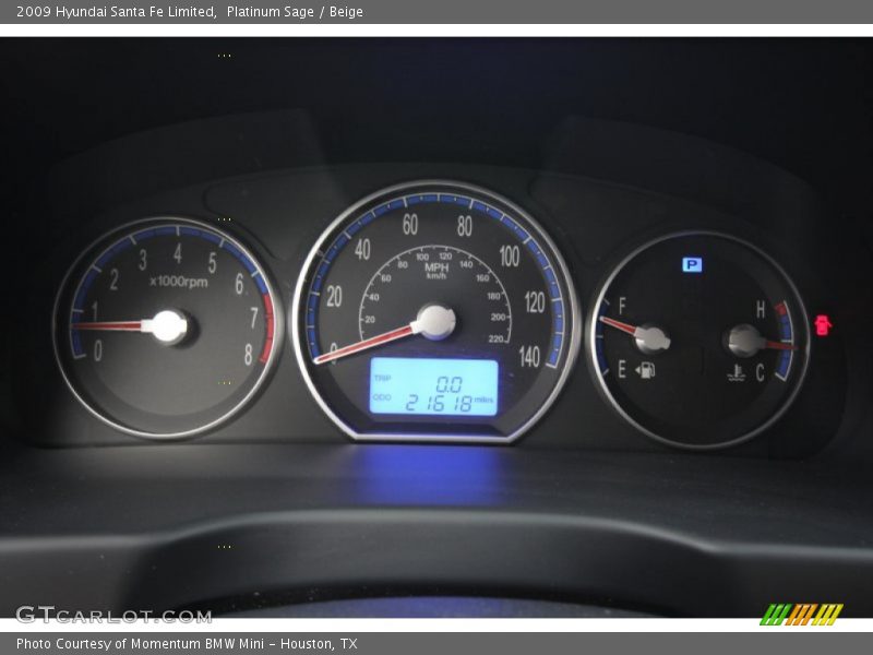 Platinum Sage / Beige 2009 Hyundai Santa Fe Limited
