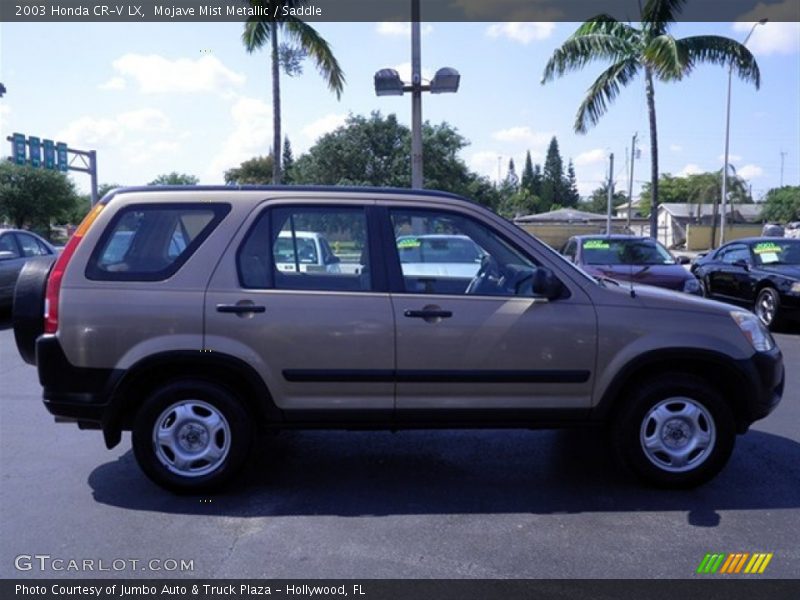 Mojave Mist Metallic / Saddle 2003 Honda CR-V LX