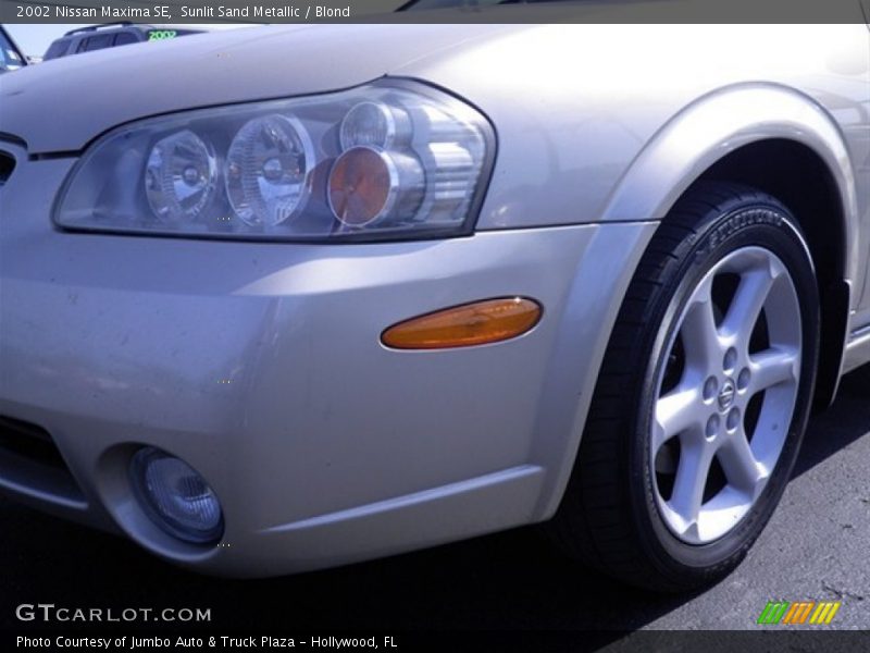 Sunlit Sand Metallic / Blond 2002 Nissan Maxima SE