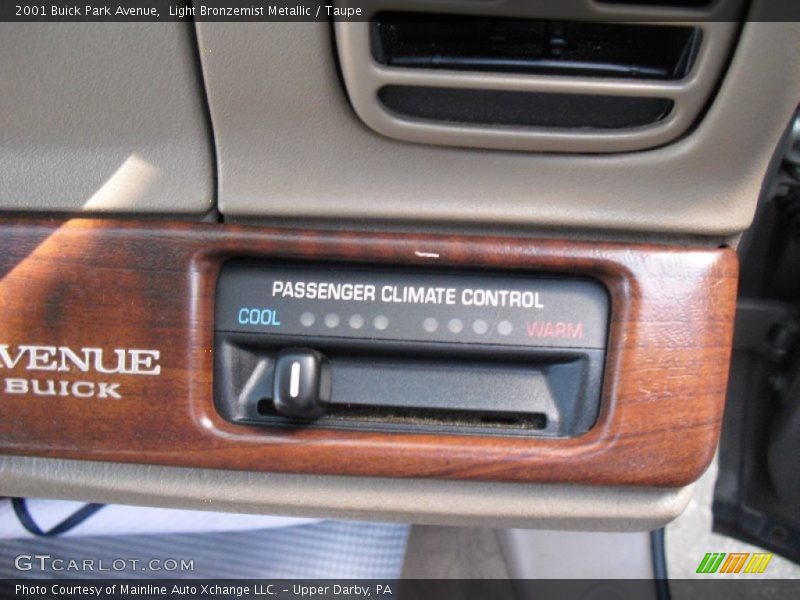 Light Bronzemist Metallic / Taupe 2001 Buick Park Avenue
