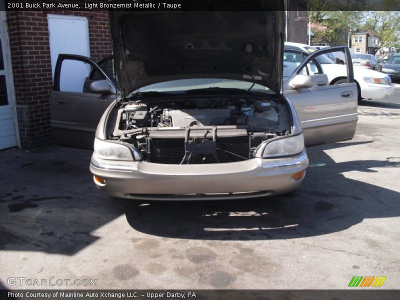 Light Bronzemist Metallic / Taupe 2001 Buick Park Avenue