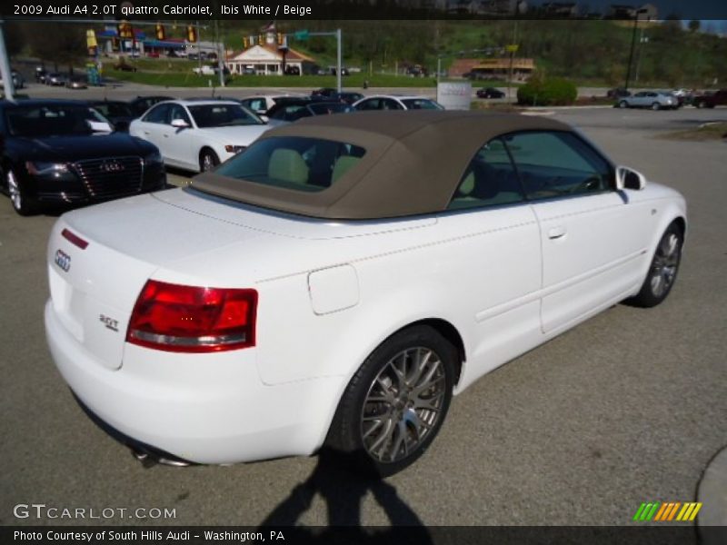Ibis White / Beige 2009 Audi A4 2.0T quattro Cabriolet