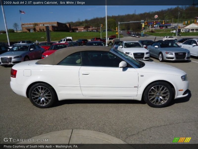 Ibis White / Beige 2009 Audi A4 2.0T quattro Cabriolet