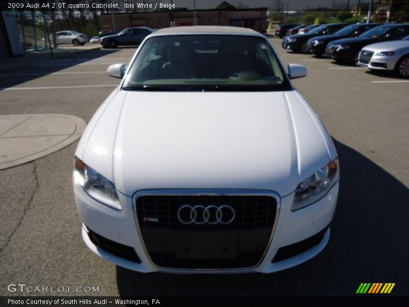 Ibis White / Beige 2009 Audi A4 2.0T quattro Cabriolet