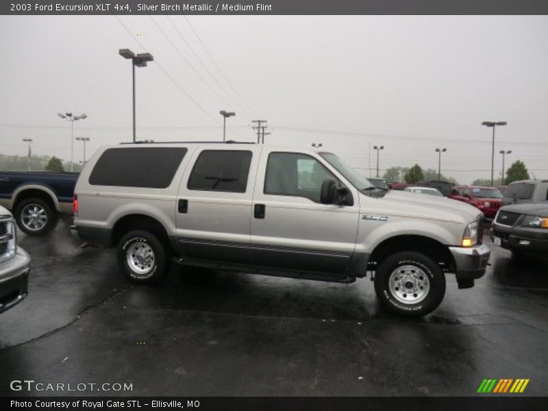 Silver Birch Metallic / Medium Flint 2003 Ford Excursion XLT 4x4