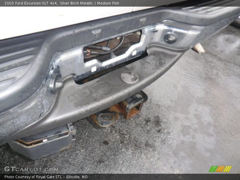 Silver Birch Metallic / Medium Flint 2003 Ford Excursion XLT 4x4