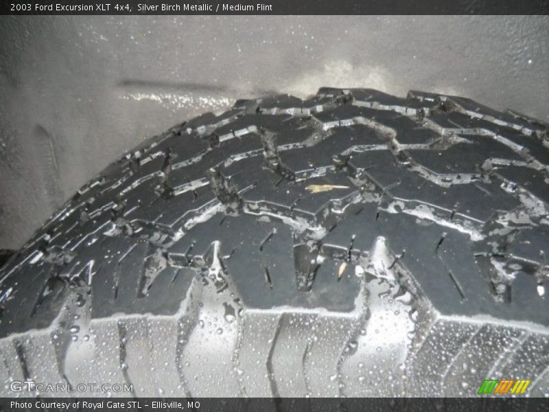 Silver Birch Metallic / Medium Flint 2003 Ford Excursion XLT 4x4