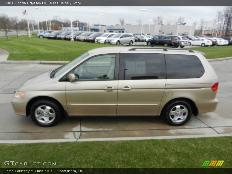 Mesa Beige / Ivory 2001 Honda Odyssey EX