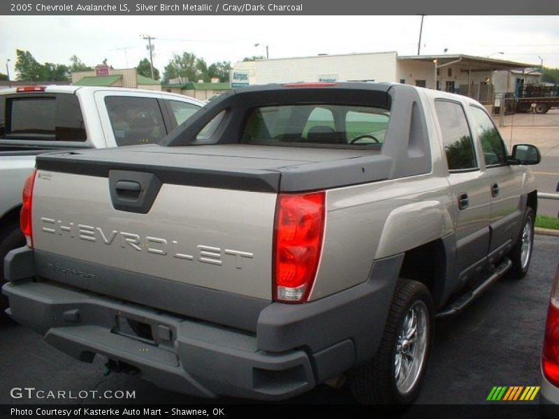 Silver Birch Metallic / Gray/Dark Charcoal 2005 Chevrolet Avalanche LS