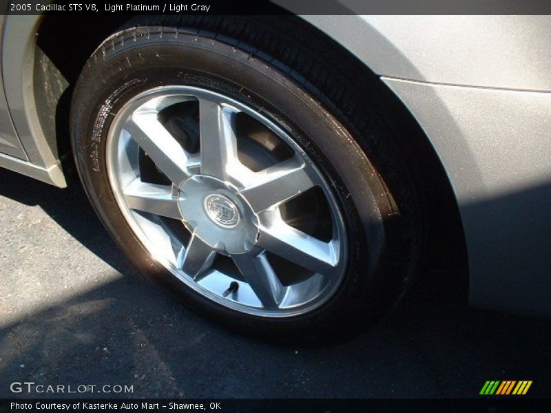 Light Platinum / Light Gray 2005 Cadillac STS V8