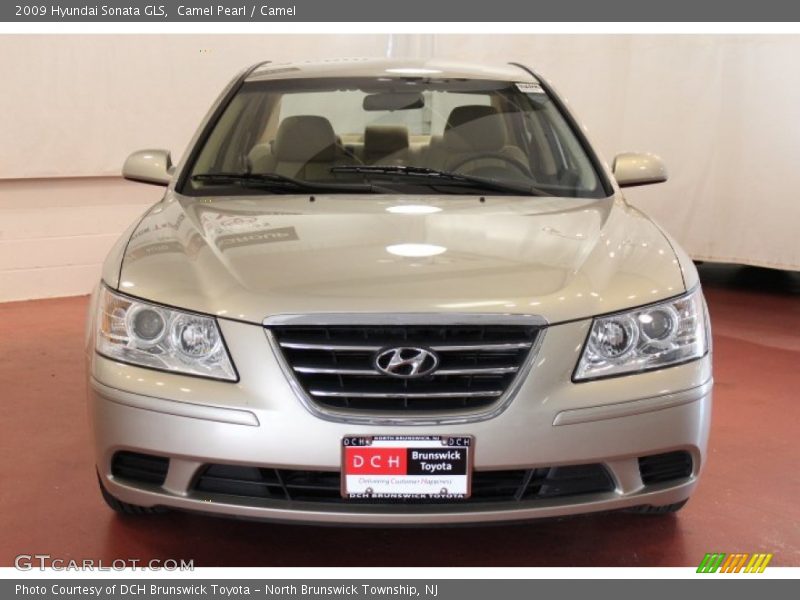 Camel Pearl / Camel 2009 Hyundai Sonata GLS