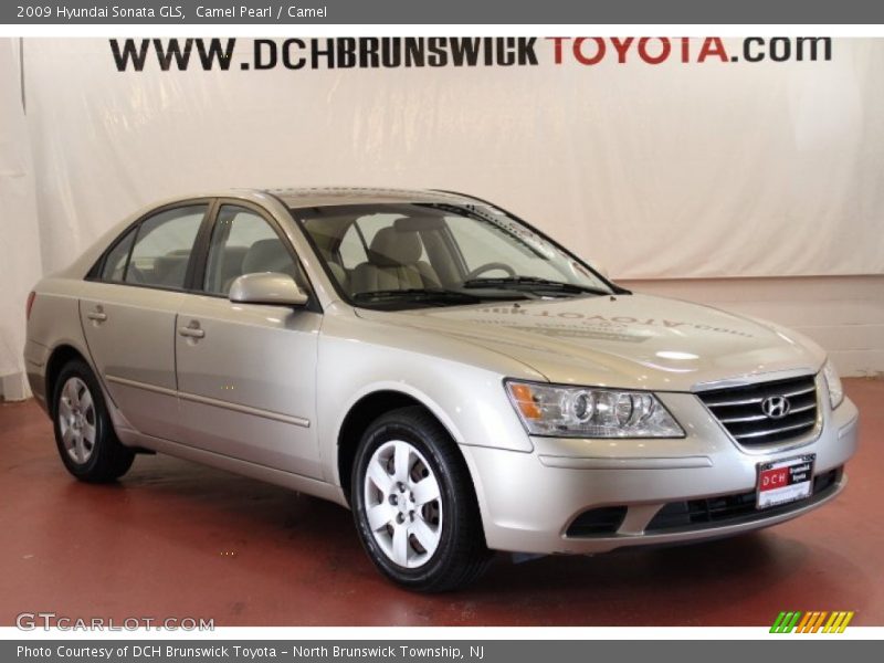 Camel Pearl / Camel 2009 Hyundai Sonata GLS