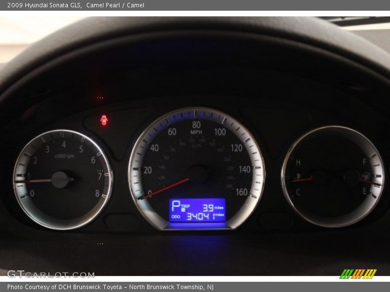 Camel Pearl / Camel 2009 Hyundai Sonata GLS
