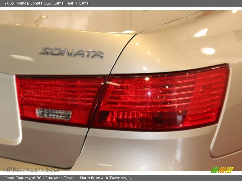 Camel Pearl / Camel 2009 Hyundai Sonata GLS