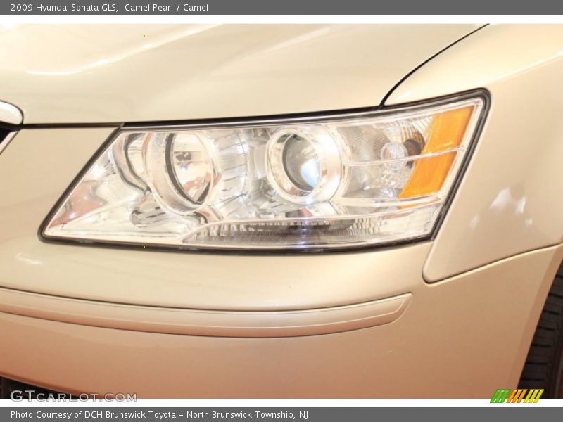 Camel Pearl / Camel 2009 Hyundai Sonata GLS