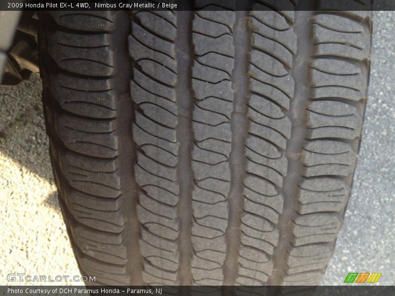 Nimbus Gray Metallic / Beige 2009 Honda Pilot EX-L 4WD