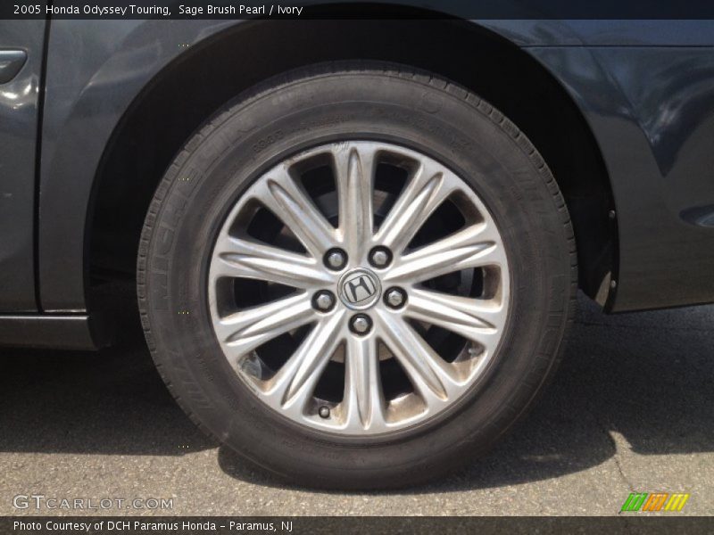 Sage Brush Pearl / Ivory 2005 Honda Odyssey Touring