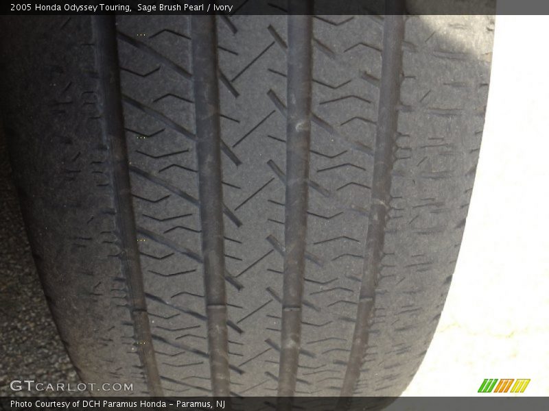 Sage Brush Pearl / Ivory 2005 Honda Odyssey Touring