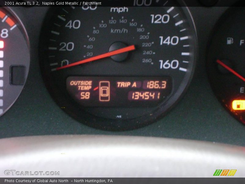 Naples Gold Metallic / Parchment 2001 Acura TL 3.2