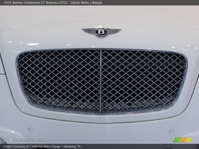 Front Grill - 2005 Bentley Continental GT Mansory GT63