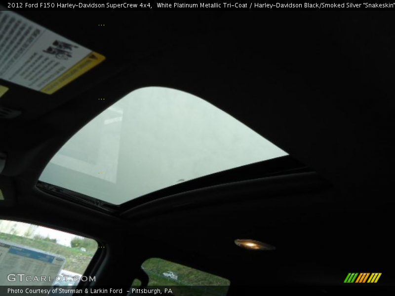 White Platinum Metallic Tri-Coat / Harley-Davidson Black/Smoked Silver 