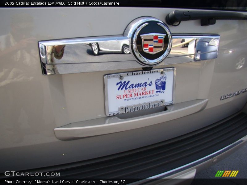 Gold Mist / Cocoa/Cashmere 2009 Cadillac Escalade ESV AWD