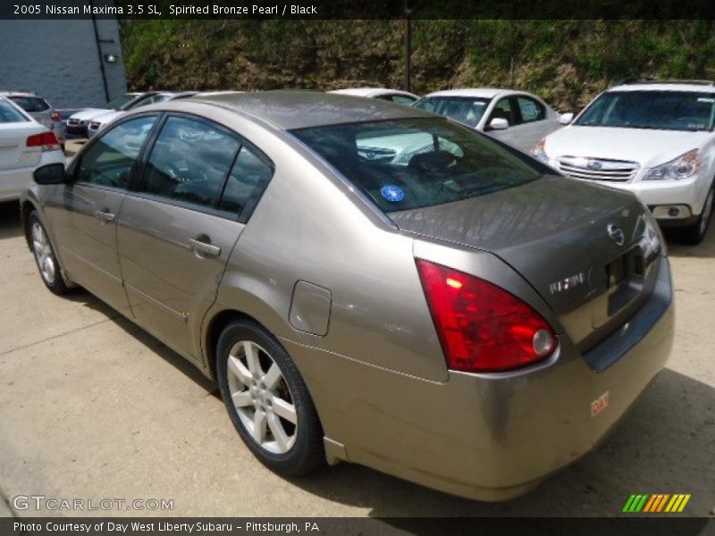 Spirited Bronze Pearl / Black 2005 Nissan Maxima 3.5 SL