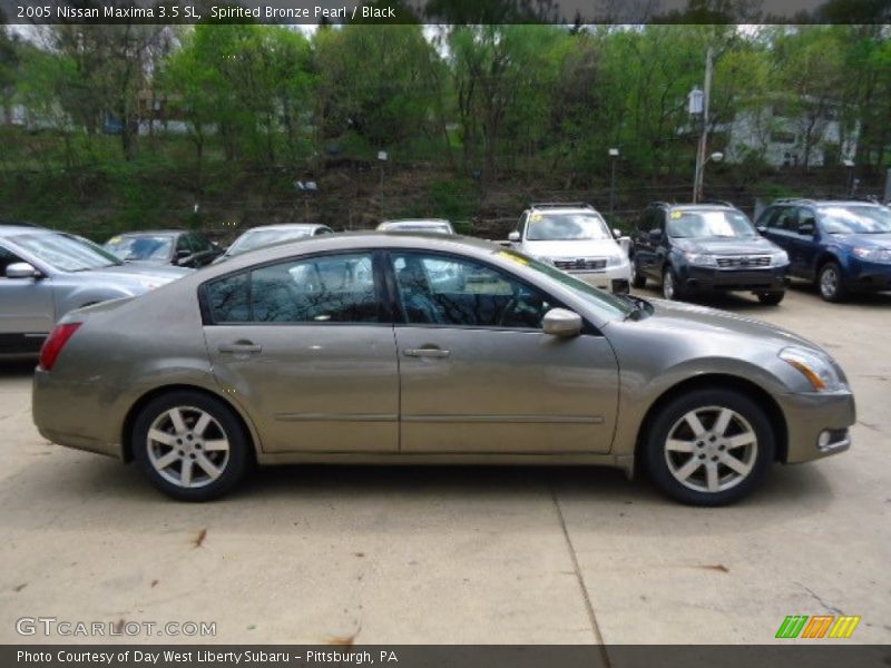 Spirited Bronze Pearl / Black 2005 Nissan Maxima 3.5 SL