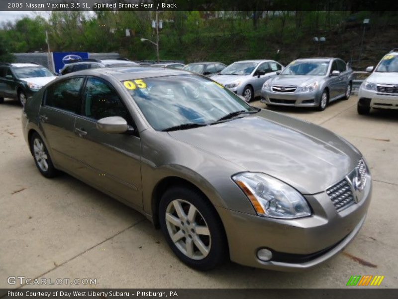 Spirited Bronze Pearl / Black 2005 Nissan Maxima 3.5 SL