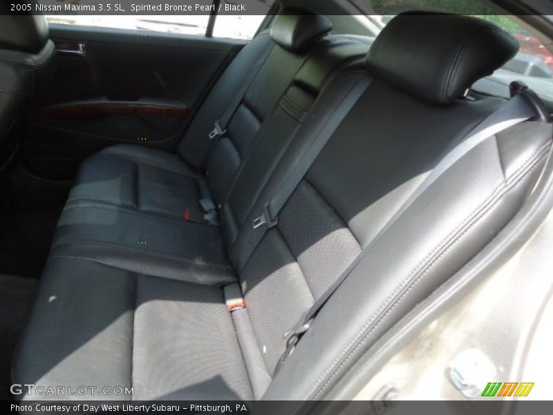 Spirited Bronze Pearl / Black 2005 Nissan Maxima 3.5 SL