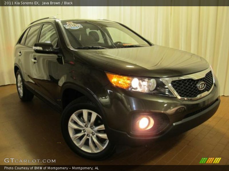 Java Brown / Black 2011 Kia Sorento EX