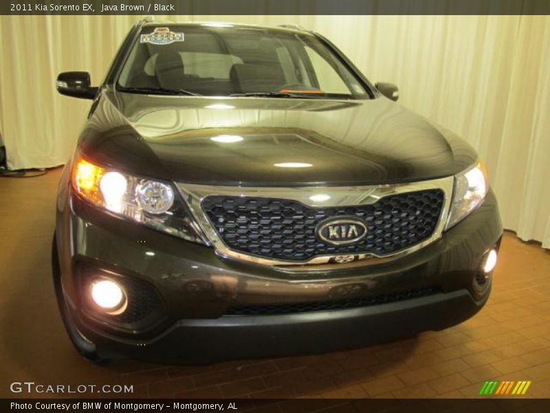 Java Brown / Black 2011 Kia Sorento EX