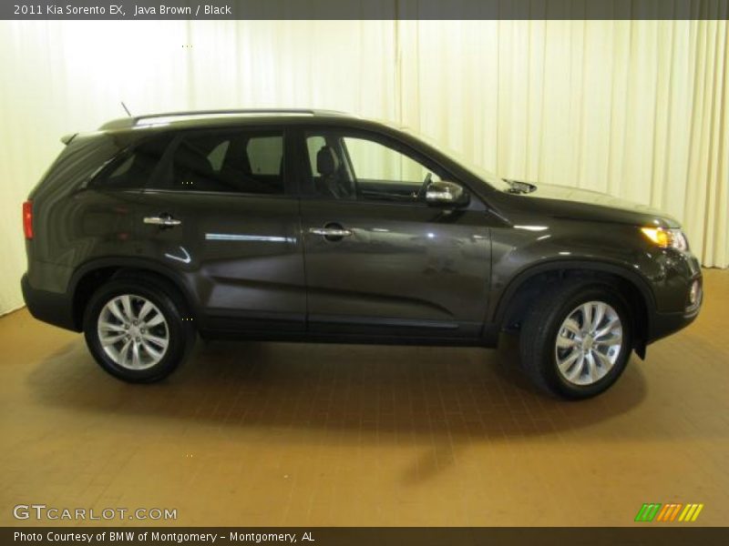 Java Brown / Black 2011 Kia Sorento EX
